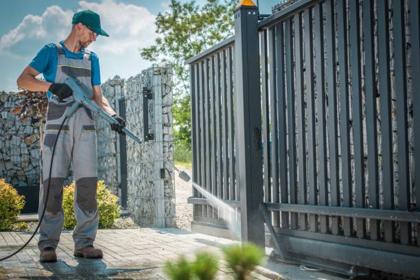 Best Paint Preparation  in Forest View, IL