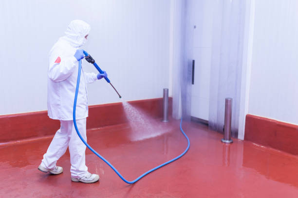 Best House Exterior Washing  in Forest View, IL