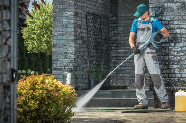 Best Graffiti Removal  in Forest View, IL