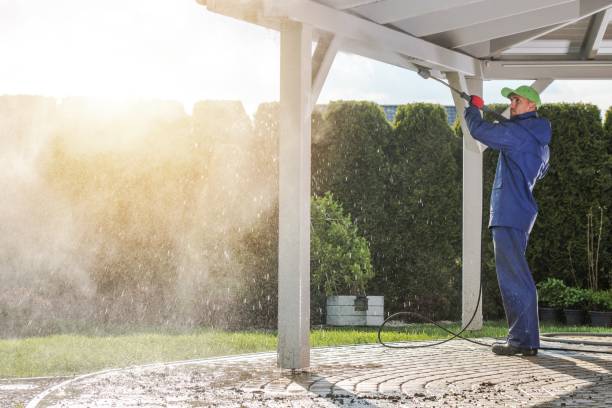 Best Warehouse Cleaning  in Forest View, IL