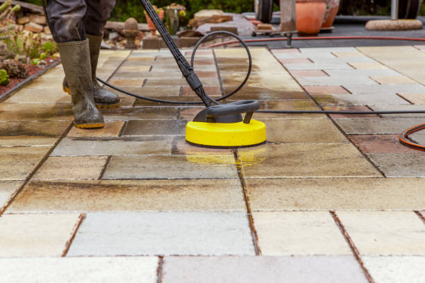 Best Dumpster Area Cleaning  in Forest View, IL