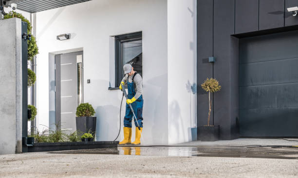 Best Sidewalk and Walkway Cleaning  in Forest View, IL